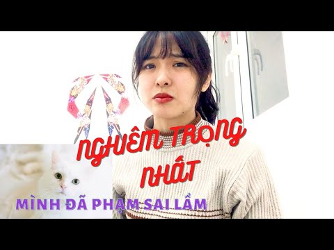 Video #1 HẬU QUẢ KHÔN LƯỜNG VÌ ĐƯA MÈO CÁI ĐI TRIỆT SẢN KHI... - youtube