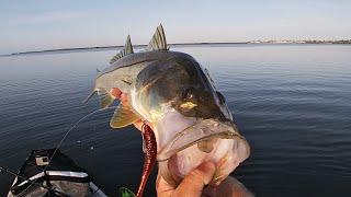 Pops and the Boys Kayak Fishing Matlacha Florida Inshore Slam Cobia Redfish Snook