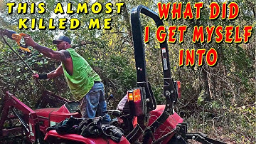 I DID NOT EXPECT THIS tiny house, homesteading, off-grid, cabin build, DIY, HOW TO, sawmill, tractor