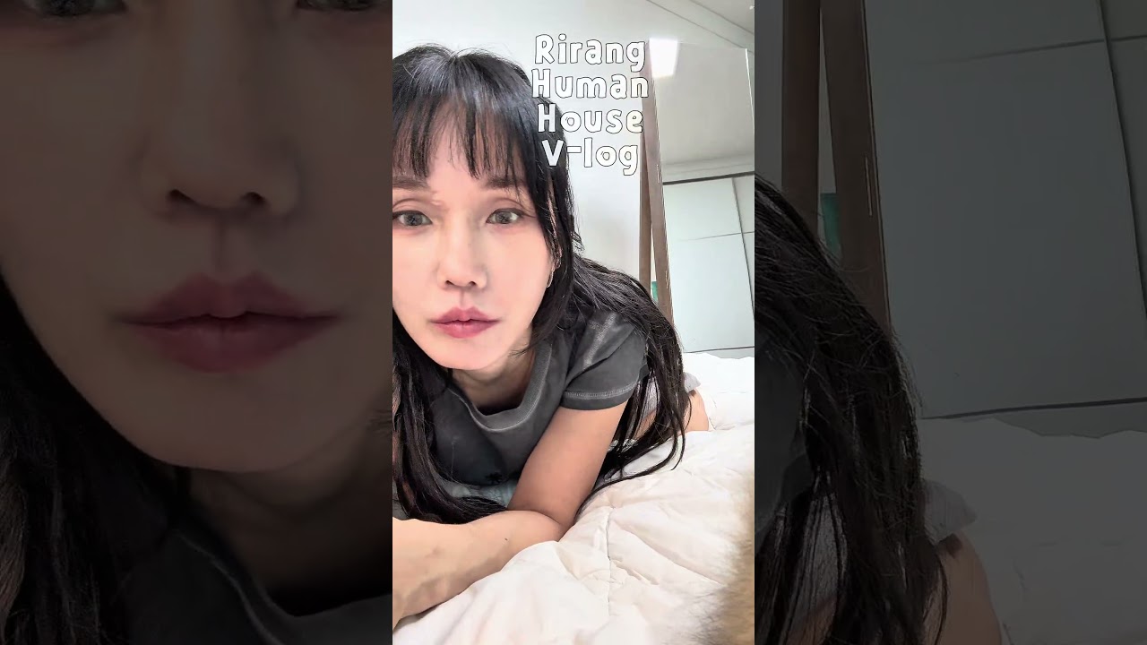낮잠 자는 냥이들 vs 안 잔다고 우기는 집사 😴 #고양이 #집사