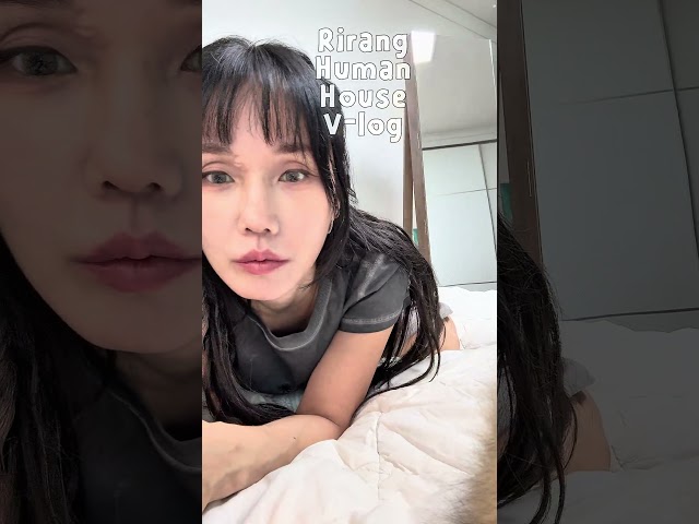 낮잠 자는 냥이들 vs 안 잔다고 우기는 집사 ???? #고양이 #집사