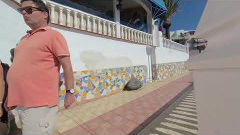 VR 180 La Caleta  prom walk Tenerife