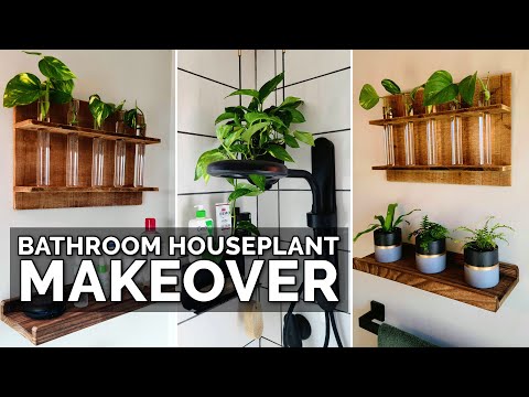 Video: Waarom planten in de badkamer?