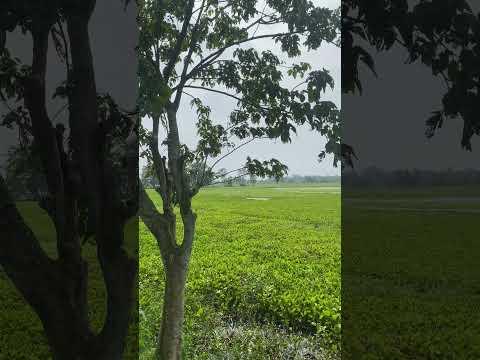 Today weather ♥