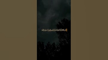 ربنا إنك من تدخل النار فقد أخزيته وما للظالمين من أنصار ﴾ #سورة_آل_عمران #ياسر_الدوسري #quran #تلاوة