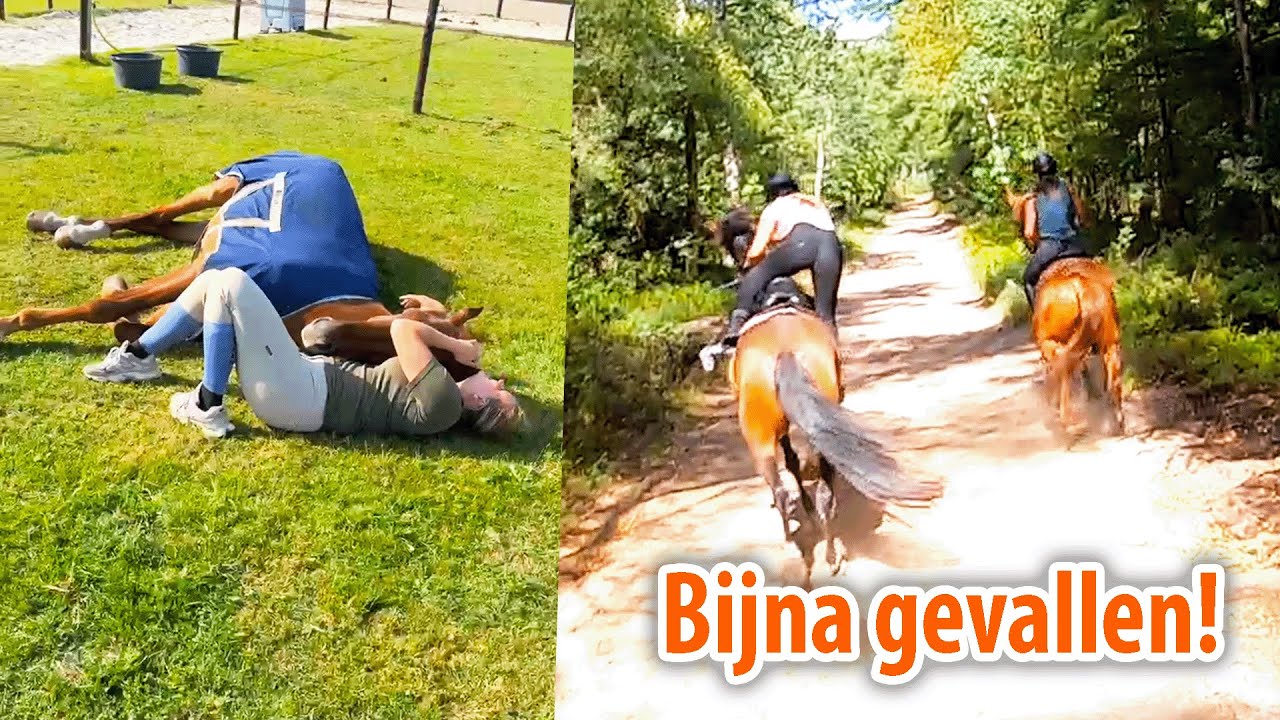 Slapende paarden & Deena VALT bijna!