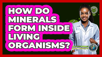 How Do Minerals Form Inside Living Organisms? - Earth Science Answers