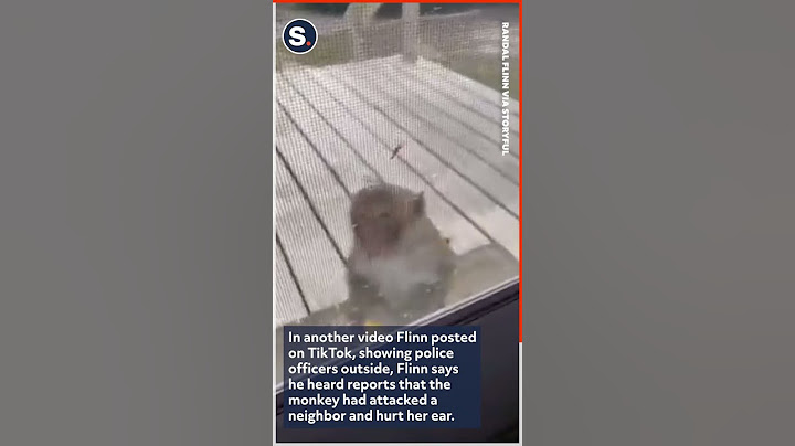 Escaped Monkey Seen Charging at Homeowner