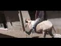 رجل حاسد عينيه طلقه يحسد شاب يركب حمار ليقع الشاب والحمار ارضا الا مش مصدق الحسد بيعمل ايه