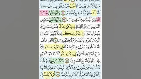 تيسير حفظ سورة الانفال بالتكرار الوجه التاسع الآيات (62-69) مكرر 5 مرات بصوت الشيخ عبد الباسط