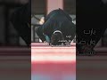 الله قادر على تغيير ما لا يتغي ر 