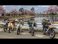 【Super Cub】長野県へ花見キャンプツーリング！