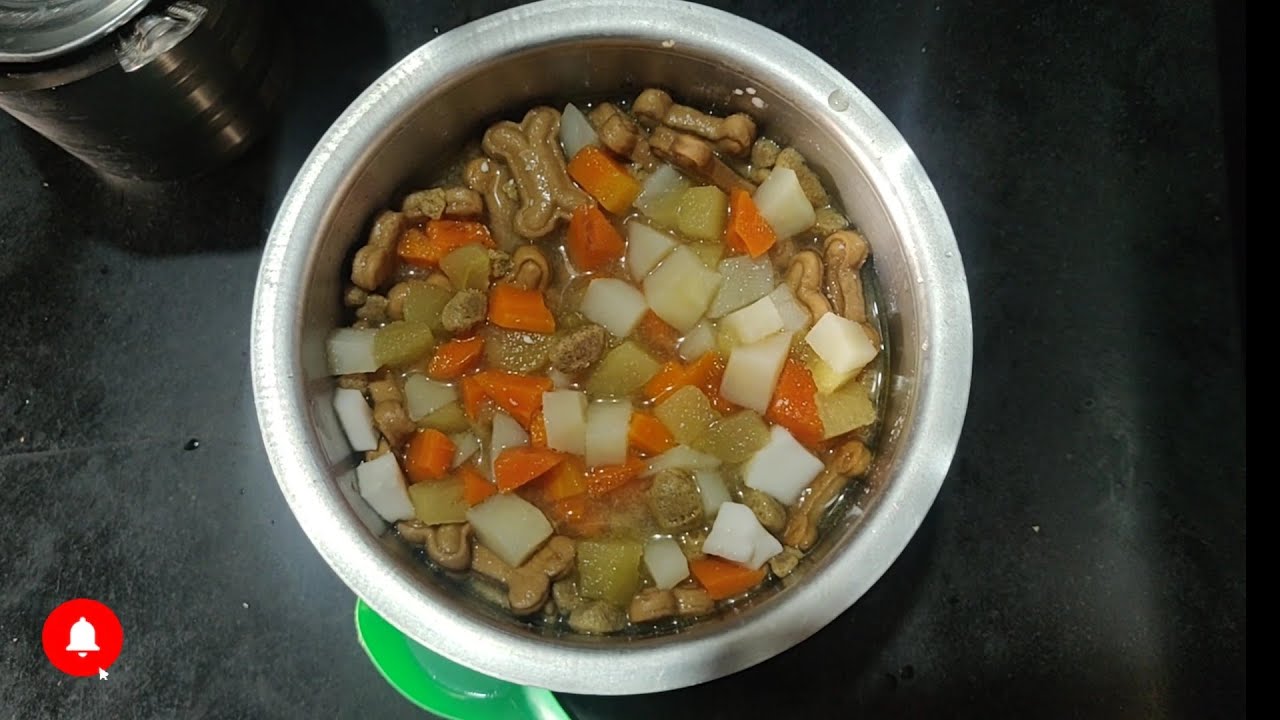 homemade vegetarian protein food for puppy veg diet plan for puppy's