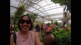 Orchid Display at Royal Flora Rachapruek- Chiang Mai