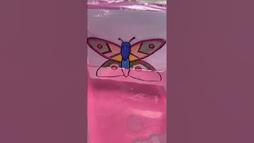 Water Refraction Science for Kids #shorts