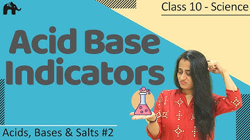Acid Base Indicators | Acids Bases and Salts #2 | Class 10 Science