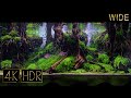 [Wide] Aquascape of Roots｜Fixed 3hours 4K HDR 60fps｜Real Aquarium ｜Return to the Amazon
