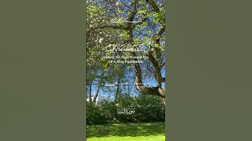 #اكسبلور #quran #تلاوة_خاشعة #راحة_نفسية