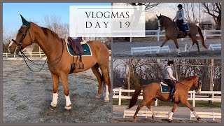 VLOGMAS - Day 19 // My FLATWORK routine for each horse!