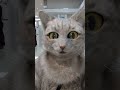 ✨おはようございます✨埼玉県に来ています🙆