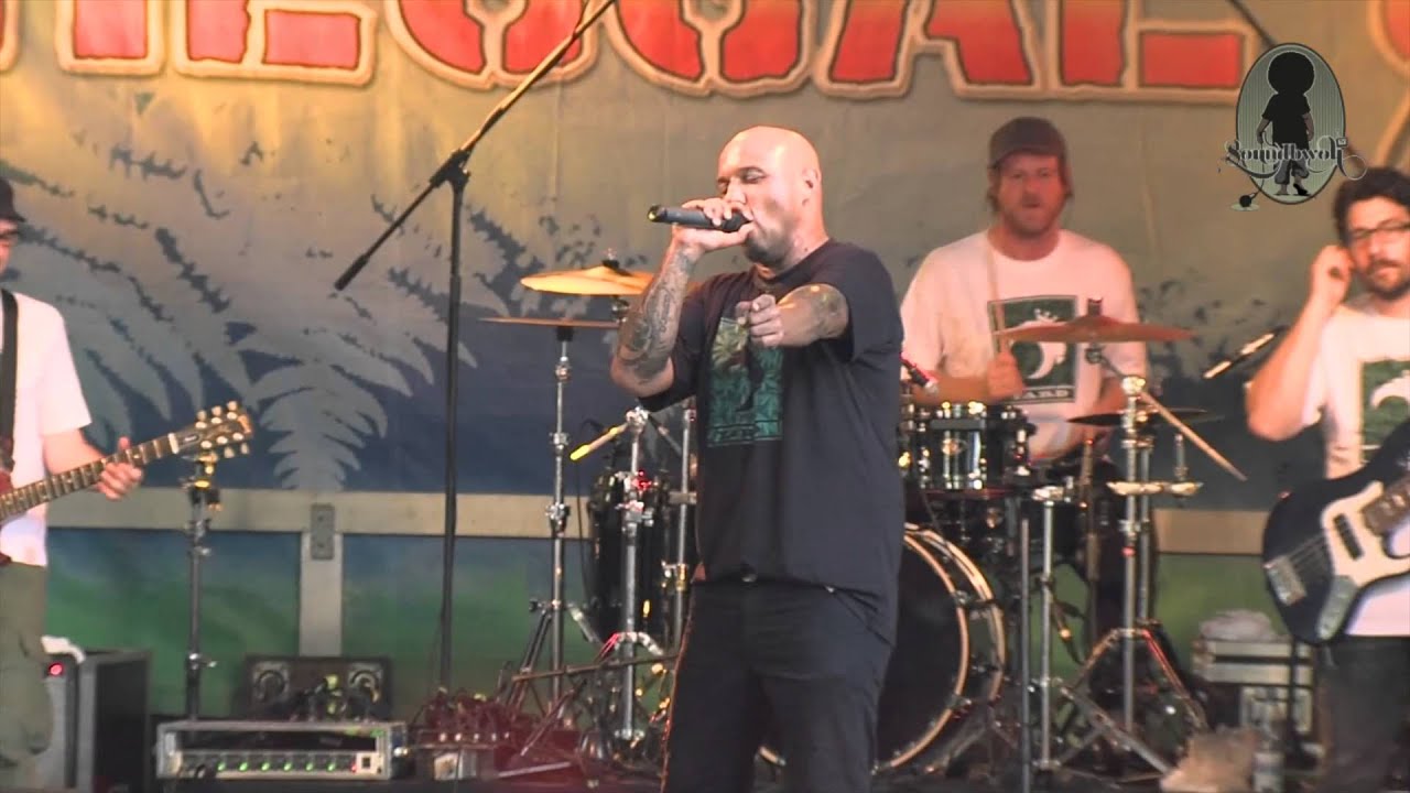 D-Flame @ Reggaejam 2014