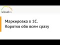 Маркировка в 1С.  Коротко обо всем и сразу