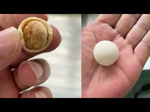 Golden amber coated peanuts discharge close up