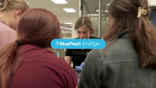 Why Choose EmERge: BluePearl's Immersive Emergency Veterinarian Training Program