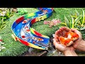 Waw serunya bermain prosotan ikan hias🐠, ikan lele albino, ikan mas, ikan koi, ikan buntal