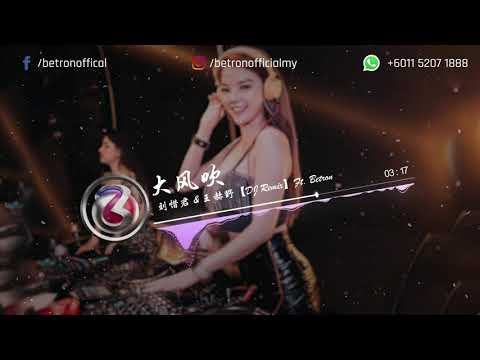 刘惜君 & 王赫野 - 大风吹【Dj Remix】ft Betron