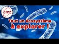 Microbiote : le monde secret de vos intestins - Science En Questions