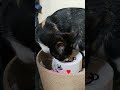 ママ❤にもらった宝物♥️