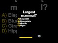 This Animal Question Surprises Everyone! #shorts