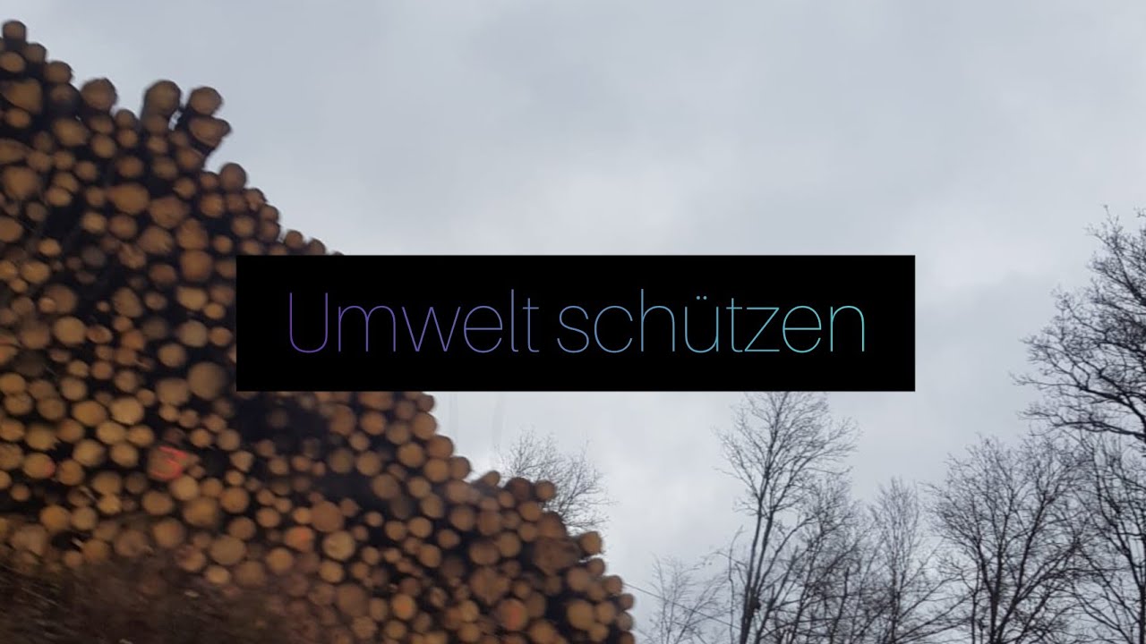 Umwelt schützen Möglichkeiten die jeder von uns machen kann Was kann ...