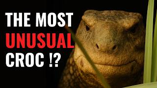 When Crocodiles Became Plant-Eaters | Science Documentary About Simosuchus