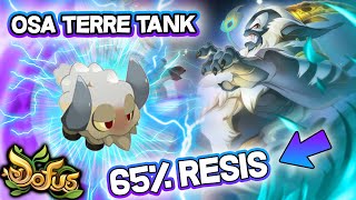 Bouftous Devastateurs Et Intuables Osamodas Terre Dofus