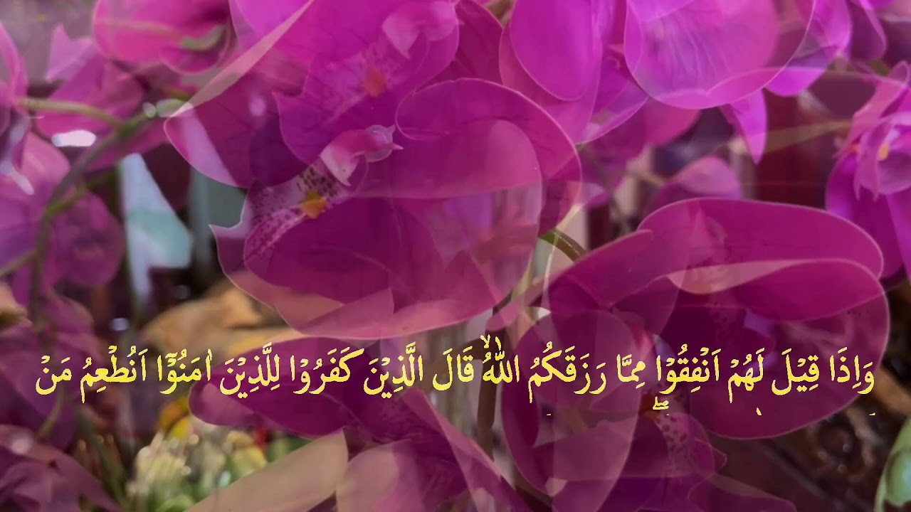 👉 Yosin surasi to‘liq 83 oyat | Yurakni tinchlantiruvchi go‘zal qiroat