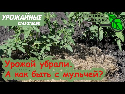 Видео: Нужно ли закапывать мульчу?