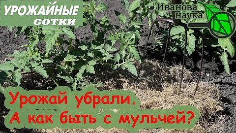 Как быть с мульчей после сбора урожая? Очень просто!