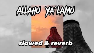 Allahu Ya'lamu | slowed & reverb | nasheed ❤️  #nasheed #almuqit #nasheedlofi #slowed