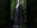 Waterfall | Forest | Relaxation | Meditation