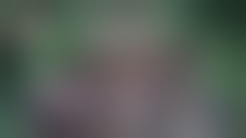 fanny skin script skylark