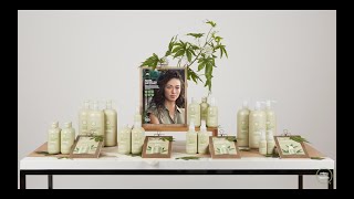 Visual Merchandising Tips featuring Tea Tree Hemp