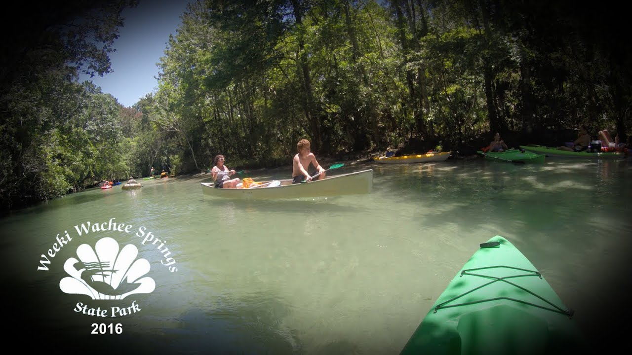 Our Weeki Wachee River Trip 2016 YouTube