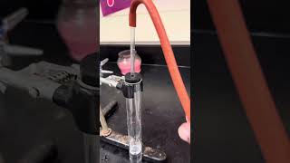 Density of a gas Prelab video : making CO2 gas
