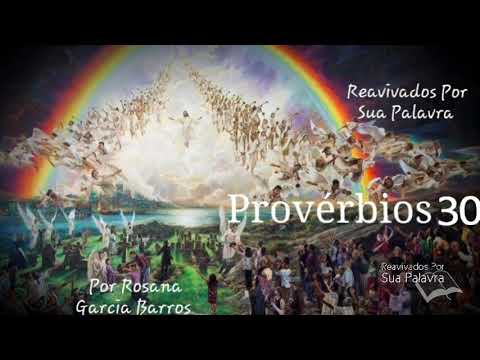 Provérbios 30 - Rosana Garcia Barros