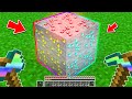 NON ROMPERE questo BLOCCO MAGICOSO - Minecraft ITA