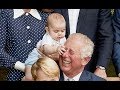 Prince Louis's sweetest moments