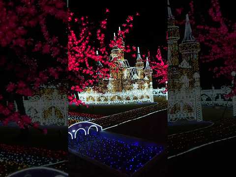 2024 愛宕山ふるさと公園イルミネーション 渋川市 #shorts #イルミネーション #渋川市 #群馬県