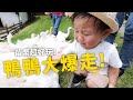 苗栗三義兩天一夜親子旅遊行程懶人包 ft.飛牛牧場，緩慢民宿三義綠波浪，貝岩居農場【E家愛吃愛旅遊】